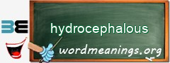 WordMeaning blackboard for hydrocephalous